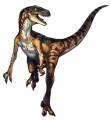 wiki:velociraptor_2_.jpg