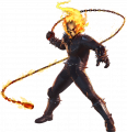 wiki:img_0038_ghost_rider_mout.obj.png