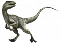 wiki:velociraptor-info-graphic.png