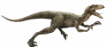 wiki:velociraptor-detail-header.png