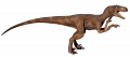 wiki:velociraptor_pose.png