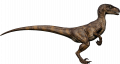 wiki:raptor93_1_.png