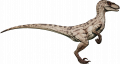 wiki:raptor01f_1_.png