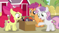 wiki:sweetie_belle_presents_a_box_of_costumes_s7e8.png