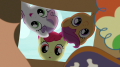 wiki:cutie_mark_crusaders_look_in_the_box_of_costumes_s7e8.png