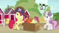 wiki:apple_bloom_and_sweetie_belle_putting_on_costumes_s7e8.png