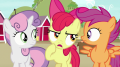 wiki:apple_bloom_you_ve_been_goin_there_a_lot_lately_s7e8.png