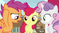 wiki:scootaloo_we_can_t_talk_about_costumes_s7e8.png