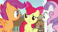 wiki:apple_bloom_time_like_what_s7e8.png