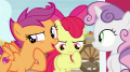 wiki:scootaloo_did_you_see_the_way_he_was_acting_s7e8.png