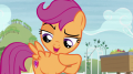 wiki:scootaloo_something_is_definitely_going_on_s7e8.png