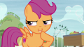 wiki:scootaloo_there_can_be_only_be_one_reason_s7e8.png