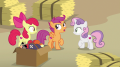 wiki:scootaloo_you_saw_how_shifty_he_was_acting_s7e8.png