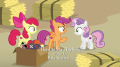 wiki:scootaloo_there_s_no_way_he_ll_tell_us_s7e8.png