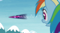 wiki:rainbow_sees_twilight_fly_away_really_fast_s4e26.png