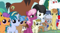wiki:crowd_of_ponies_the_crusaders_helped_s9e12.png