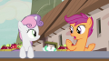 wiki:scootaloo_i_don_t_know_anypony_here_s7e8.png