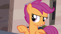 wiki:scootaloo_ever_solved_a_case_that_quick_s7e8.png