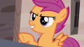 wiki:scootaloo_suggests_doing_more_reconnaissance_s7e8.png