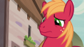 wiki:big_mcintosh_surprised_to_see_apple_bloom_s7e8.png