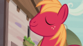 wiki:big_mac_acknowledging_sweetie_belle_and_scootaloo_s7e8.png