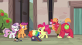 wiki:apple_bloom_this_is_so_excitin_s7e8.png