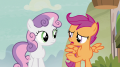 wiki:scootaloo_what_about_cheerilee_s7e8.png