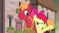 wiki:apple_bloom_does_sugar_belle_even_know_you_like_her_s7e8.png