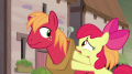 wiki:apple_bloom_then_you_gotta_tell_her_s7e8.png