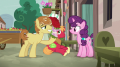 wiki:feather_bangs_giving_roses_to_sugar_belle_s7e8.png