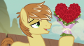 wiki:feather_bangs_presents_heart-shaped_bouquet_of_roses_s7e8.png
