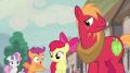 wiki:scootaloo_surprised_by_feather_s_successful_pickup_lines_s7e8.png