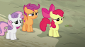 wiki:cutie_mark_crusaders_about_to_laugh_s7e8.png