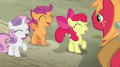 wiki:cutie_mark_crusaders_laughing_at_big_mcintosh_s7e8.png