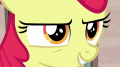 wiki:apple_bloom_we_bring_the_danger_to_her_s7e8.png