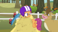 wiki:scootaloo_sees_cow_s3e6.png
