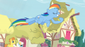 wiki:rainbow_dash_capturing_coins_in_hoof_s3e6.png
