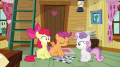 wiki:apple_bloom_woooow_s3e06.png