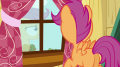 wiki:scootaloo_looking_out_of_the_window_s3e06.png
