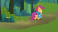 wiki:scootaloo_looking_around_s3e06.png