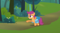 wiki:scootaloo_what_about_rainbow_dash_s3e06.png