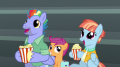 wiki:bow_and_windy_enraptured_by_the_wonderbolts_s7e7_1_.png
