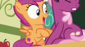 wiki:scootaloo_gasps_with_excitement_s9e12.png