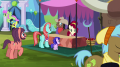 wiki:cherry_jubilee_and_a_stallion_selling_cherries_s5e11.png