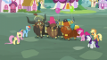 wiki:pinkie_s_friends_gathering_around_the_yaks_s5e11.png
