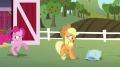 wiki:pinkie_and_applejack_leave_the_barn_s5e11.png
