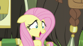 wiki:fluttershy_thank_goodness_s5e11.png