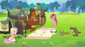 wiki:fluttershy_pinkie_and_yaks_watch_animals_s5e11.png