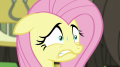wiki:fluttershy_extremely_worried_s5e11.png