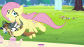 wiki:fluttershy_saves_animals_from_getting_smashed_s5e11.png